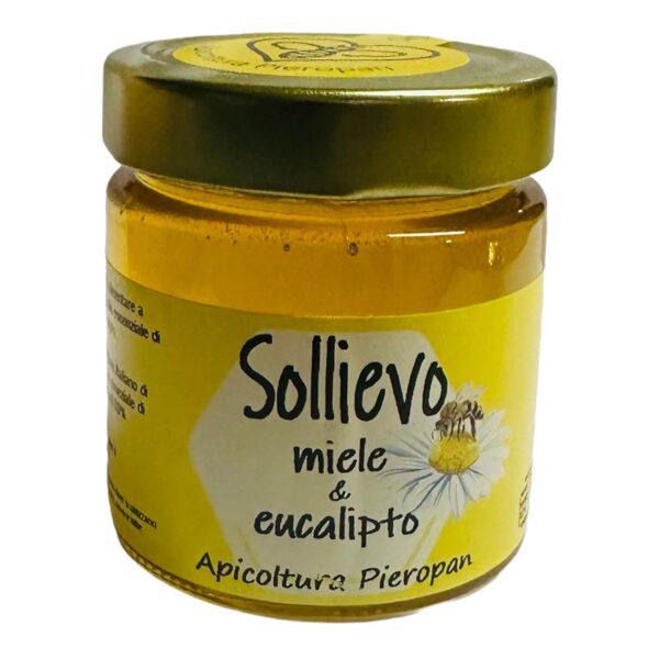 SOLLIEVO